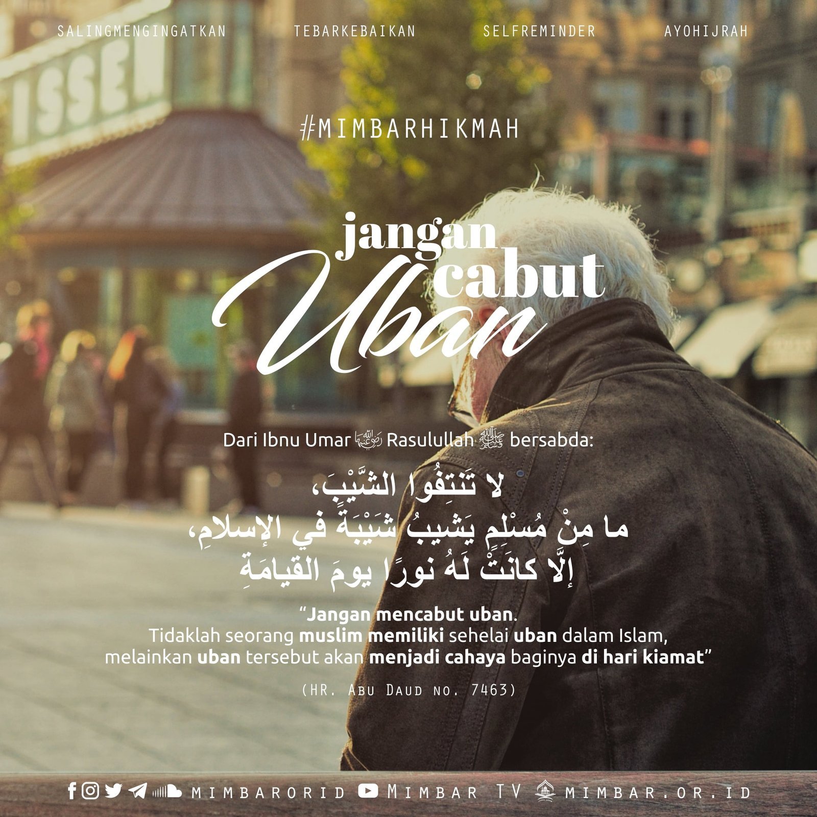 JANGAN CABUT UBAN